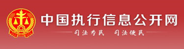 中国执行信息